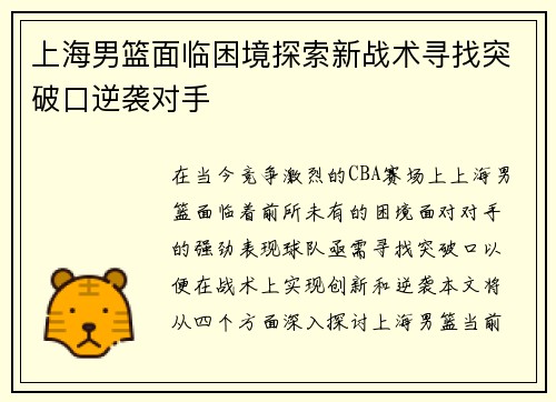 上海男篮面临困境探索新战术寻找突破口逆袭对手