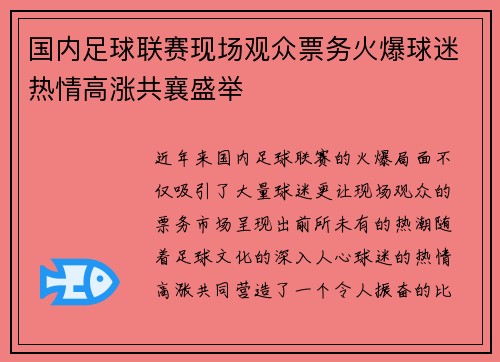 国内足球联赛现场观众票务火爆球迷热情高涨共襄盛举