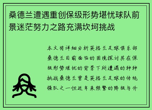 桑德兰遭遇重创保级形势堪忧球队前景迷茫努力之路充满坎坷挑战