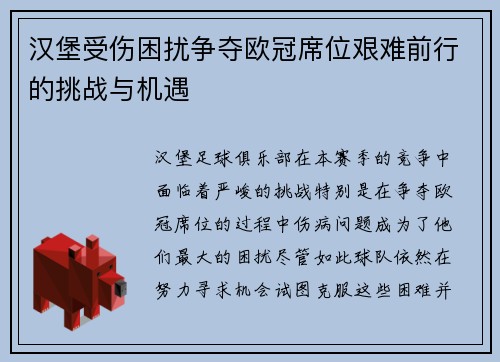 汉堡受伤困扰争夺欧冠席位艰难前行的挑战与机遇