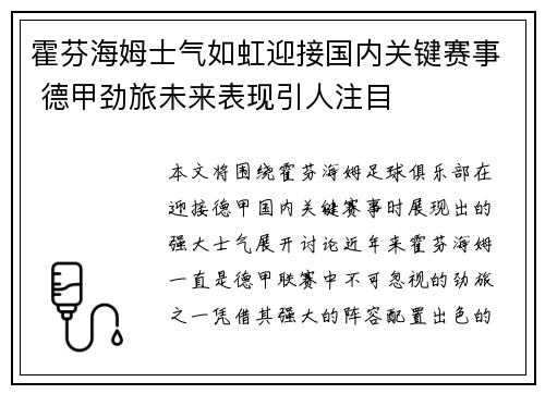 霍芬海姆士气如虹迎接国内关键赛事 德甲劲旅未来表现引人注目
