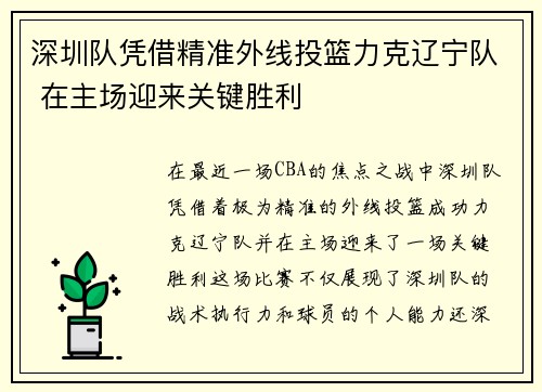 深圳队凭借精准外线投篮力克辽宁队 在主场迎来关键胜利