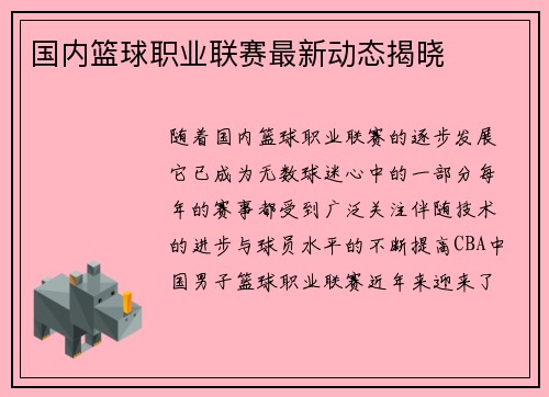 国内篮球职业联赛最新动态揭晓