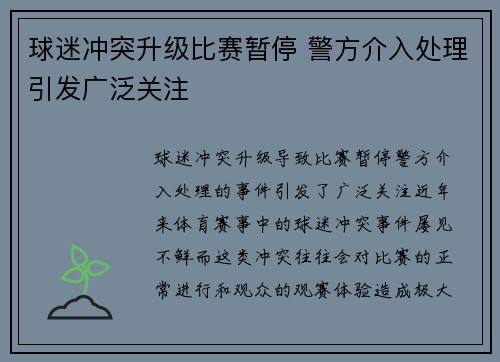球迷冲突升级比赛暂停 警方介入处理引发广泛关注
