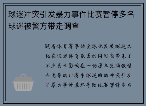 球迷冲突引发暴力事件比赛暂停多名球迷被警方带走调查